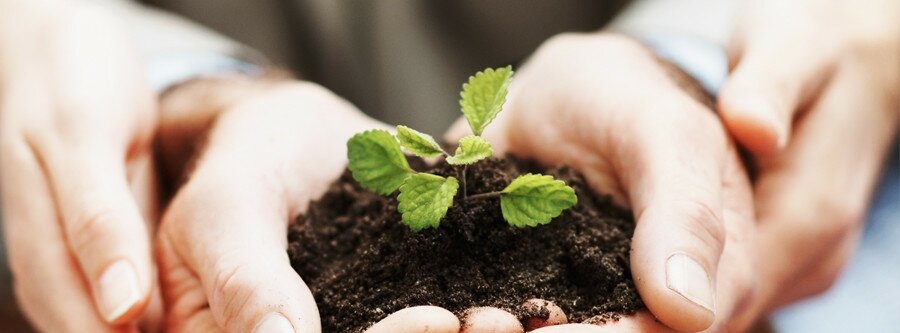 Unde dolore omnis lorem.