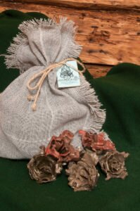 Solve_Solve__DSC2021